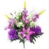 Picture of CHRYSANTHEMUM LARGE MIXED BUSH PURPLE