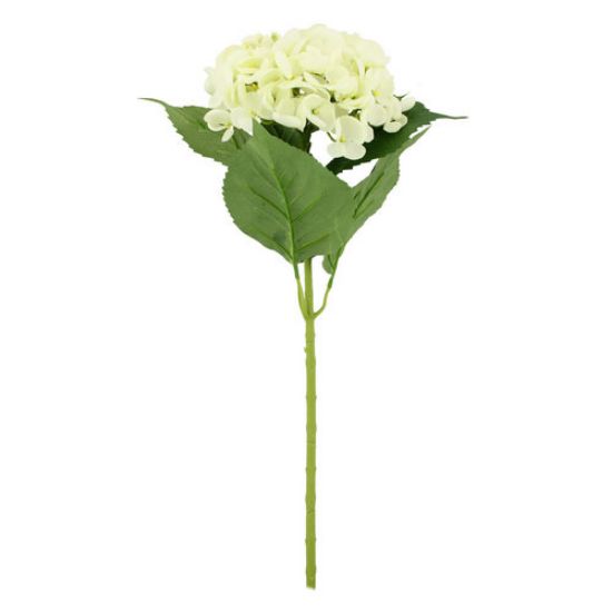 Picture of 61cm SINGLE GIANT HYDRANGEA IVORY