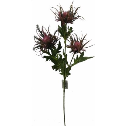 Picture of 67cm WILD ERYNGIUM (SEA HOLLY) SPRAY LILAC