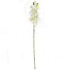 Picture of 101cm PHALAENOPSIS ORCHID SPRAY WHITE/GREEN