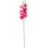 Picture of 105cm PHALAENOPSIS ORCHID SPRAY PINK