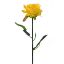 Picture of 48cm SINGLE OPEN ROSE YELLOW