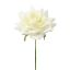 Picture of 25cm SINGLE DIAMOND ROSE IVORY X 48pcs