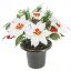 Picture of POINSETTIA/HOLLY AND PINE CEMETERY POT IVORY X 12pcs
