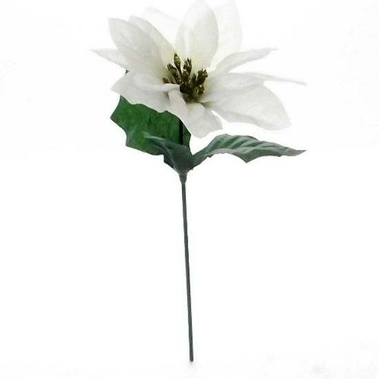 Picture of SINGLE 7 INCH POINSETTIA PICK WHITE X 144pcs