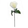 Picture of SINGLE 7 INCH CHRISTMAS ROSE WHITE X 144pcs