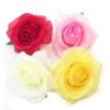 Picture of 8-9cm ROSE FLOWER HEAD YELLOW X 100pcs