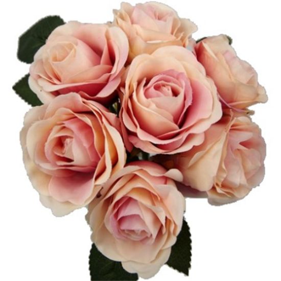 Picture of 31cm OPEN ROSE BUNDLE (BUNDLE OF 7) APRICOT