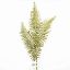 Picture of 78cm GLITTERED BRACKEN FERN SPRAY GOLD