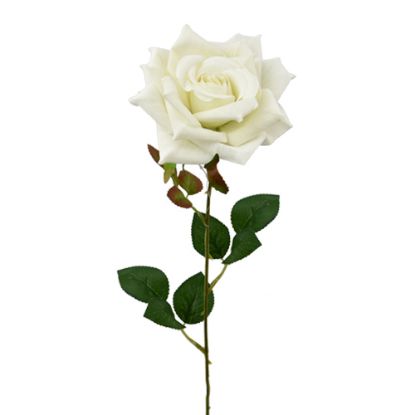 Picture of 50cm SINGLE VELVET TOUCH LARGE OPEN ROSE IVORY