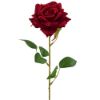 Picture of 50cm SINGLE  VELVET TOUCH LARGE OPEN ROSE DARK RED