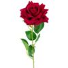 Picture of 50cm SINGLE  VELVET TOUCH LARGE OPEN ROSE DARK RED