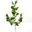 Picture of 51cm HOLLY SPRAY WITH BERRIES VARIEGATED