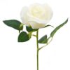 Picture of SINGLE SHORT STEM ROSEBUD IVORY