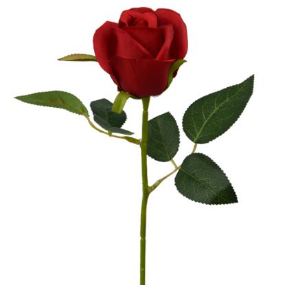 Picture of SINGLE SHORT STEM ROSEBUD RED