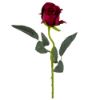 Picture of SINGLE VELVET TOUCH ROSEBUD RED