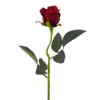 Picture of SINGLE VELVET TOUCH ROSEBUD RED