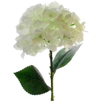 Picture of 45cm SINGLE HYDRANGEA IVORY