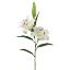 Picture of 85cm LARGE TIGER LILY SPRAY IVORY