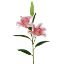Picture of 85cm LARGE TIGER LILY SPRAY PINK