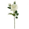 Picture of 72cm LARGE PEONY SPRAY IVORY