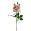 Picture of 72cm LARGE PEONY SPRAY MINK