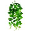 Picture of TRAILING IVY BUSH GREEN