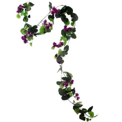 Picture of GERANIUM GARLAND PURPLE