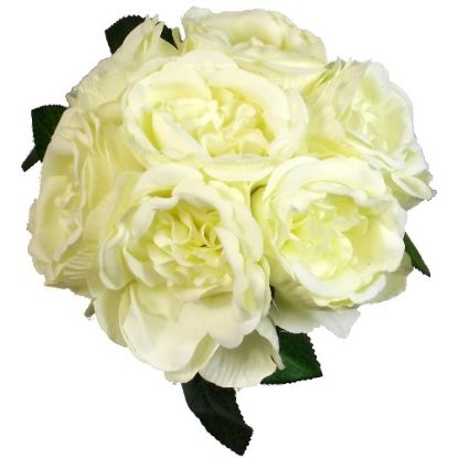 Picture of 27cm CABBAGE ROSE BUNDLE (7 STEMS) IVORY (LEMON)