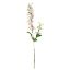 Picture of 79cm DELPHINIUM SPRAY LIGHT PINK