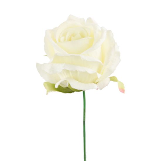 Picture of 27cm SINGLE OPEN ROSE IVORY/LEMON