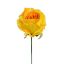 Picture of 27cm SINGLE OPEN ROSE YELLOW/ORANGE