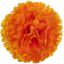 Picture of CARNATION PICK ORANGE X 144pcs (IN POLYBAG)