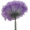 Picture of CARNATION PICK LILAC X 144pcs (IN POLYBAG)