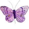 Picture of 8cm FEATHER BUTTERFLY ON 20cm WIRE ASSORTED X 12pcs