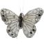 Picture of 7cm FEATHER BUTTERFLY WITH JEWELS ON 20cm WIRE IVORY/SILVER X 12pcs