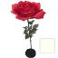 Picture of 170cm XXL GIANT SINGLE ROSE IVORY