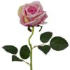 Picture of 52cm SINGLE LARGE VELVET TOUCH OPEN ROSE PINK