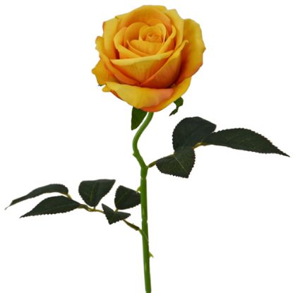 Picture of 52cm SINGLE LARGE VELVET TOUCH OPEN ROSE MUSTARD