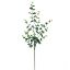 Picture of 94cm EUCALYPTUS SPRAY FROSTED GREEN
