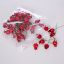 Picture of 18mm BERRIES RED X BAG OF 48pcs