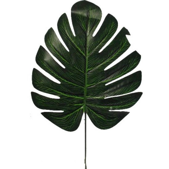 Picture of SPLIT PHILO LEAF X 6pcs GREEN