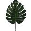 Picture of SPLIT PHILO LEAF X 6pcs GREEN