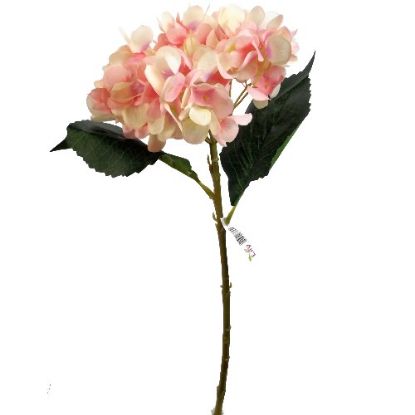 Picture of 46cm SINGLE HYDRANGEA PEACH