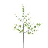 Picture of 94cm EUCALYPTUS SPRAY GREEN