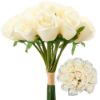 Picture of 30cm LARGE ROSEBUD BUNDLE (18 STEMS) CREAM