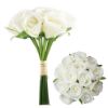 Picture of 25cm ROSEBUD BUNDLE (13 STEMS) IVORY