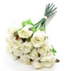 Picture of 25cm ROSEBUD BUNDLE (13 STEMS) IVORY