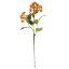 Picture of 55cm JAPANESE BERRY SPRAY ORANGE