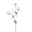 Picture of 67cm PRECIOUS ROSE SPRAY PEACH/PINK